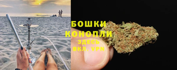 амф Гусиноозёрск