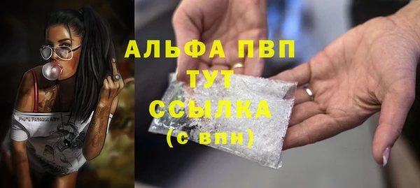 прущий лед Гусев