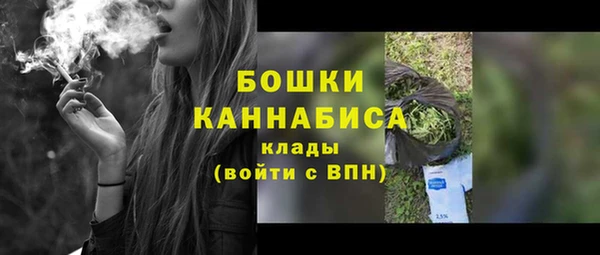 амф Гусиноозёрск