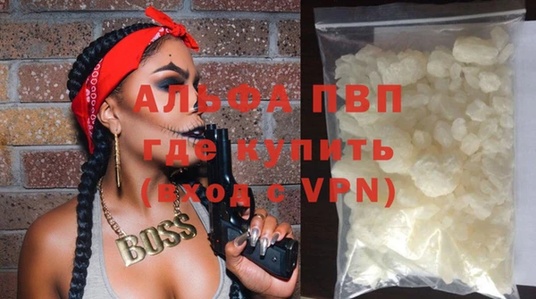 амф Гусиноозёрск