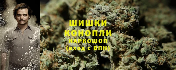 СК Гусь-Хрустальный