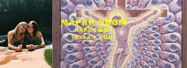 прущий лед Гусев