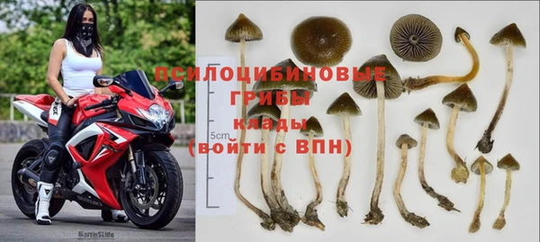 амф Гусиноозёрск