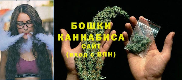 СК Гусь-Хрустальный