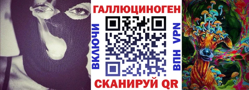 Галлюциногенные грибы GOLDEN TEACHER  Купить  Туапсе 
